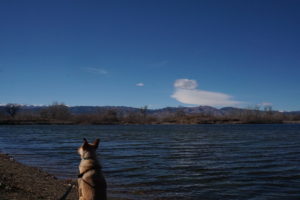 Sawhill Ponds Boulder Colorado Loki