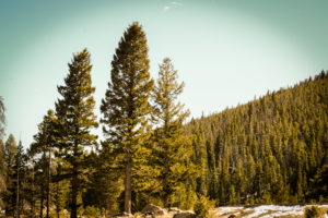 Estes Park Colorado