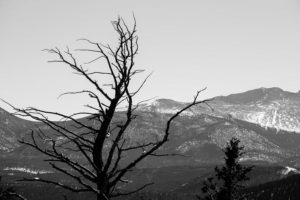 Estes Park Colorado