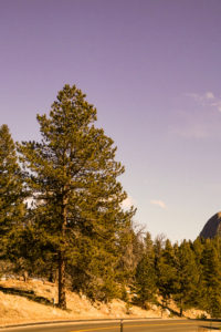 Estes Park Colorado