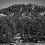 Estes Park Colorado